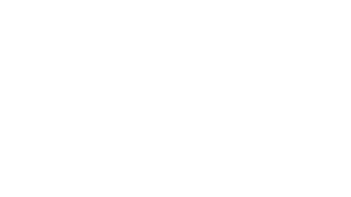 El Toro TV
