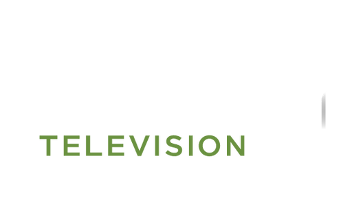 Story Television