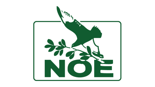 TV Noe