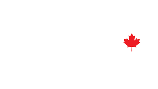 Wild TV