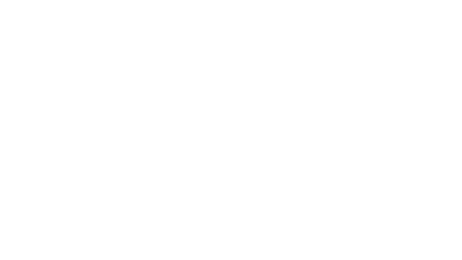 Z (запорожье)